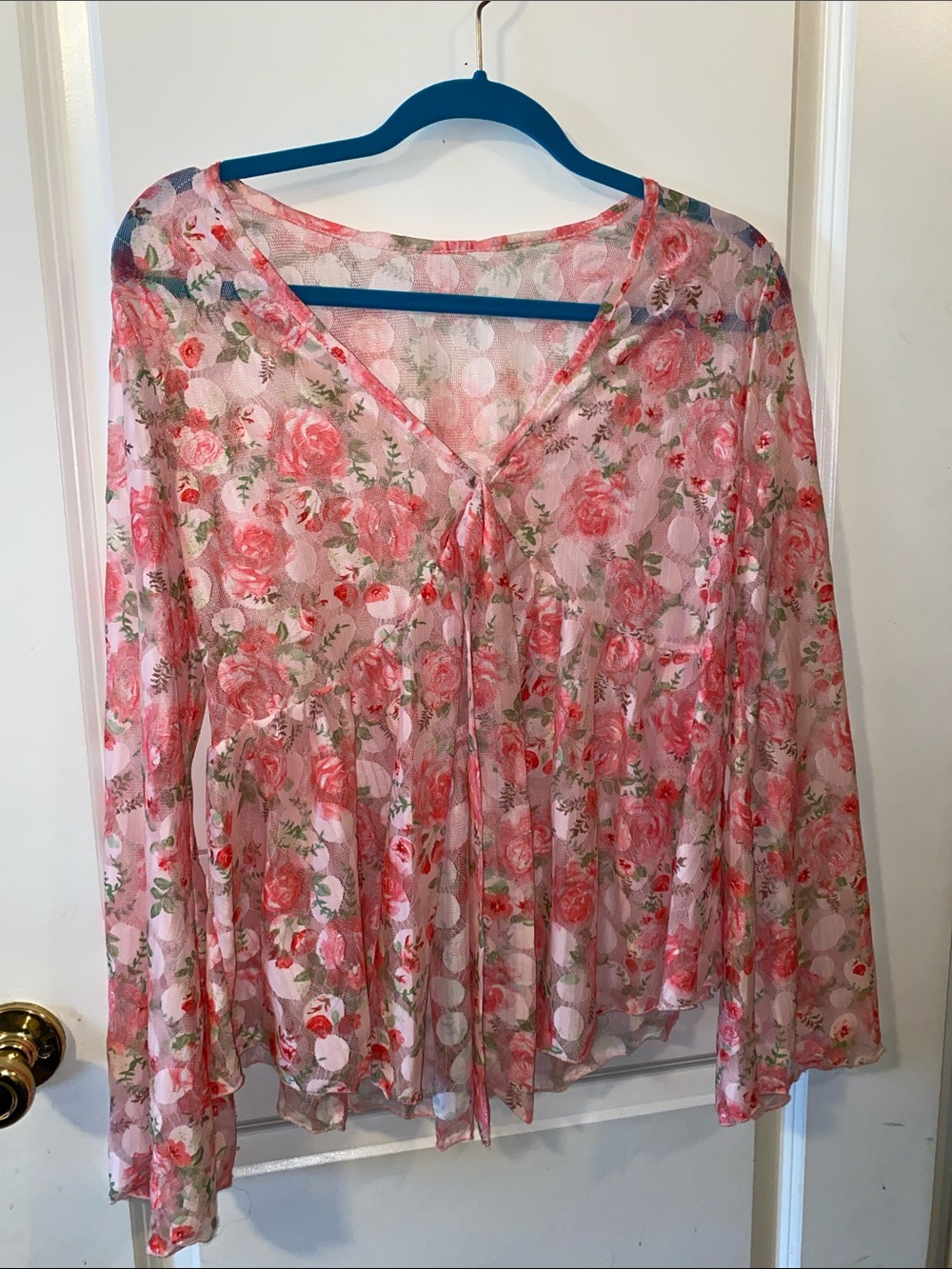 Sheer Long Sleeve Top
